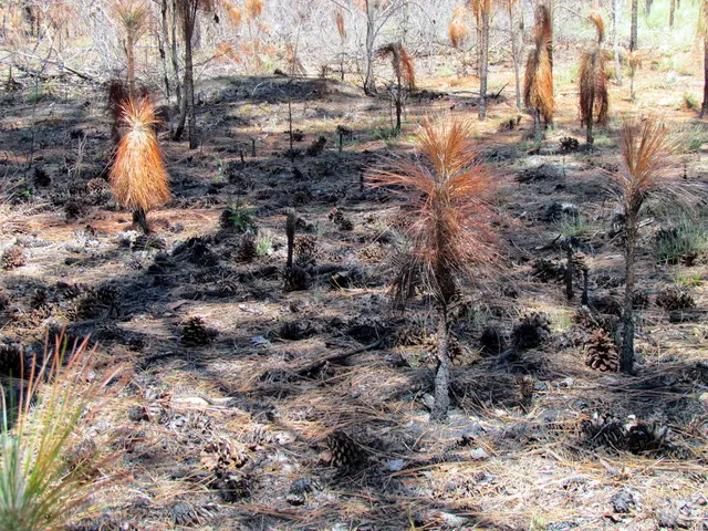 USDA Map Reveals Kansas's Planting Zones for Farmers and Gardeners